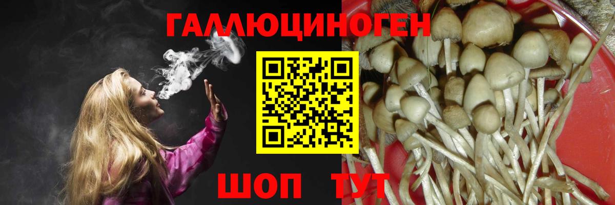 Галлюциногенные грибы мухоморы  Вход с VPN  Соль-Илецк 